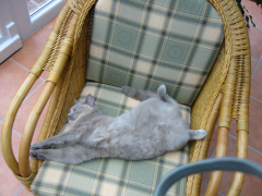 1_Klecks09.jpg