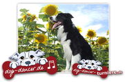 DogDance - Manuela Galka, 41372 Niederkrüchten