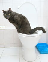 Aktive Bewegungstherapie