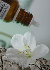 Klassische Homöopathie