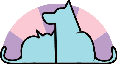 Zurück zur Hauptseite