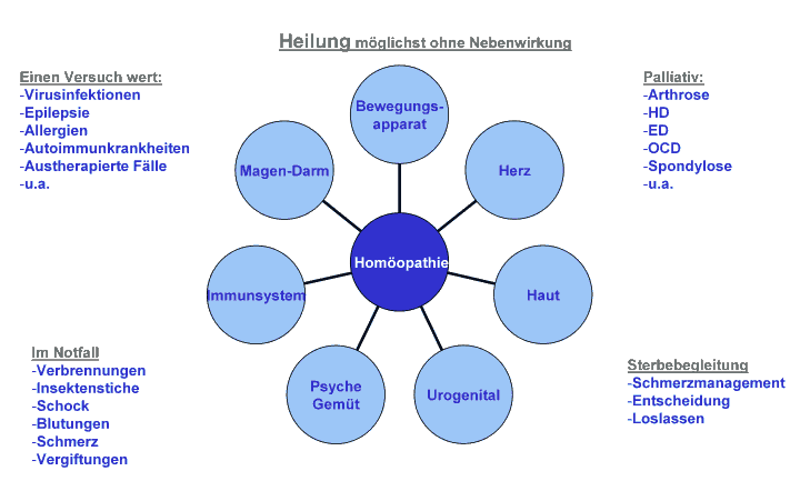 Notfall,Bewegungsapparat,Herz,Durchfall,Erbrechen,Epilepsie,Krebs,Diabetes,Haut,Imunsystem,Schilddrüse,Haut,Blase,Schmerzen